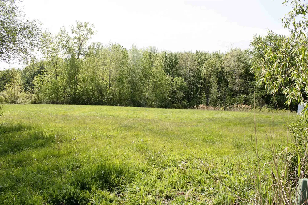 50012 S Angelo Court Chesterfield Township, MI 48047