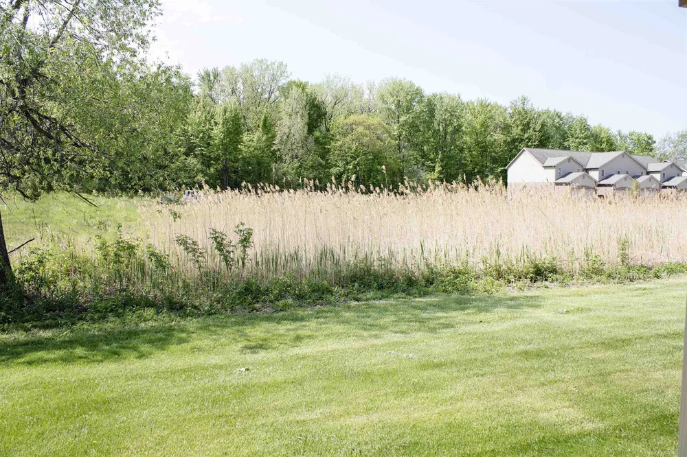 50012 S Angelo Court Chesterfield Township, MI 48047