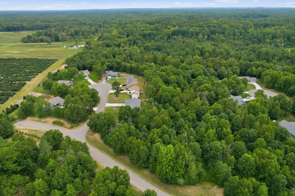 919 Armintrout Ridge Court Cheshire Township, MI 49010