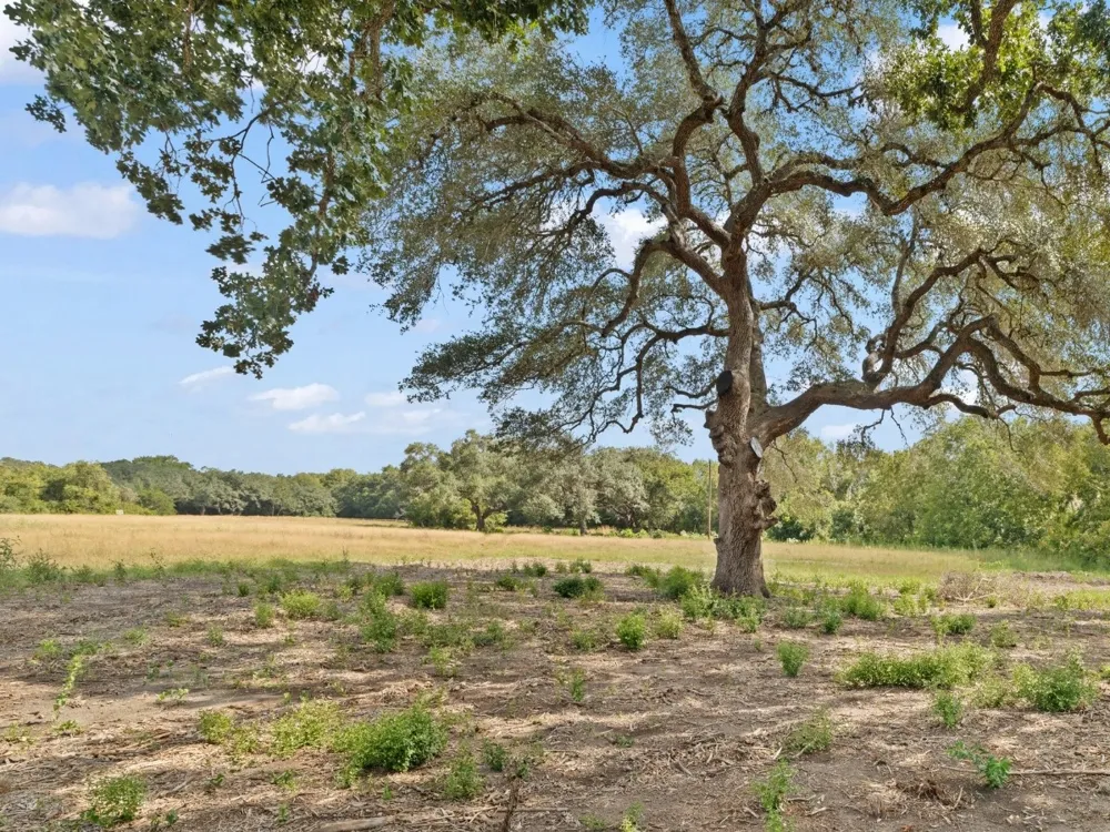 2763 FM 956 Schulenburg, TX 78956