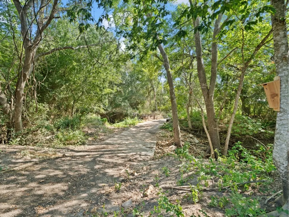 2763 FM 956 Schulenburg, TX 78956