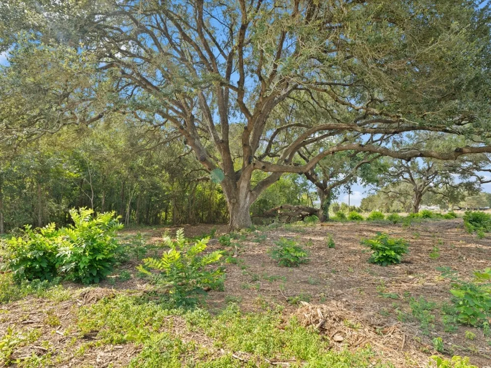 2763 FM 956 Schulenburg, TX 78956