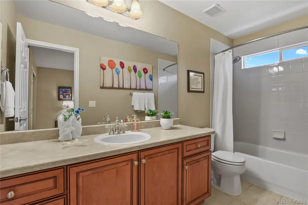 11043 Grayledge Circle Highlands Ranch, CO 80130