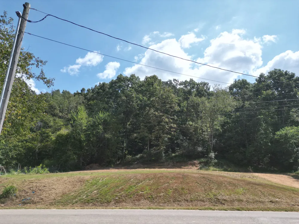 0 Hinson Street Hohenwald, TN 38462