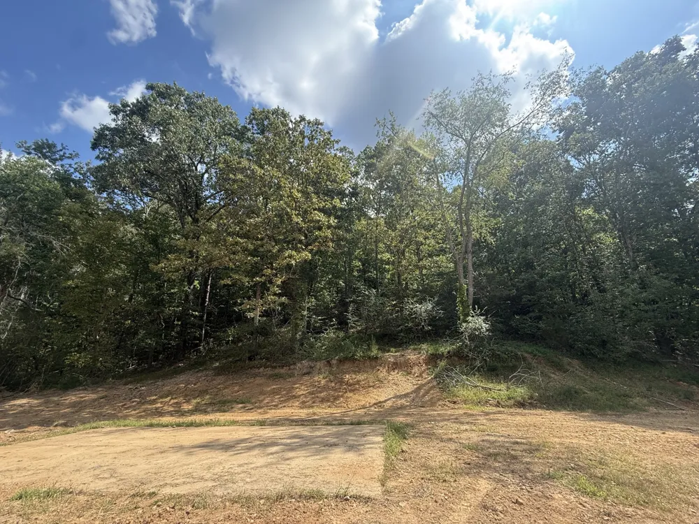 0 Hinson Street Hohenwald, TN 38462