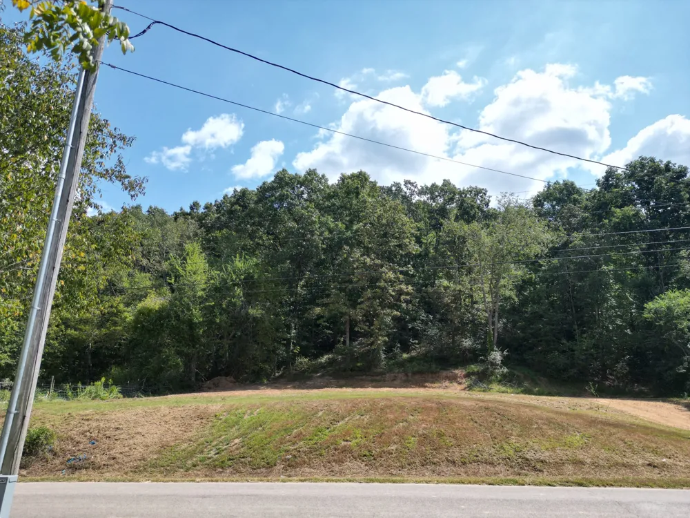 0 Hinson Street Hohenwald, TN 38462