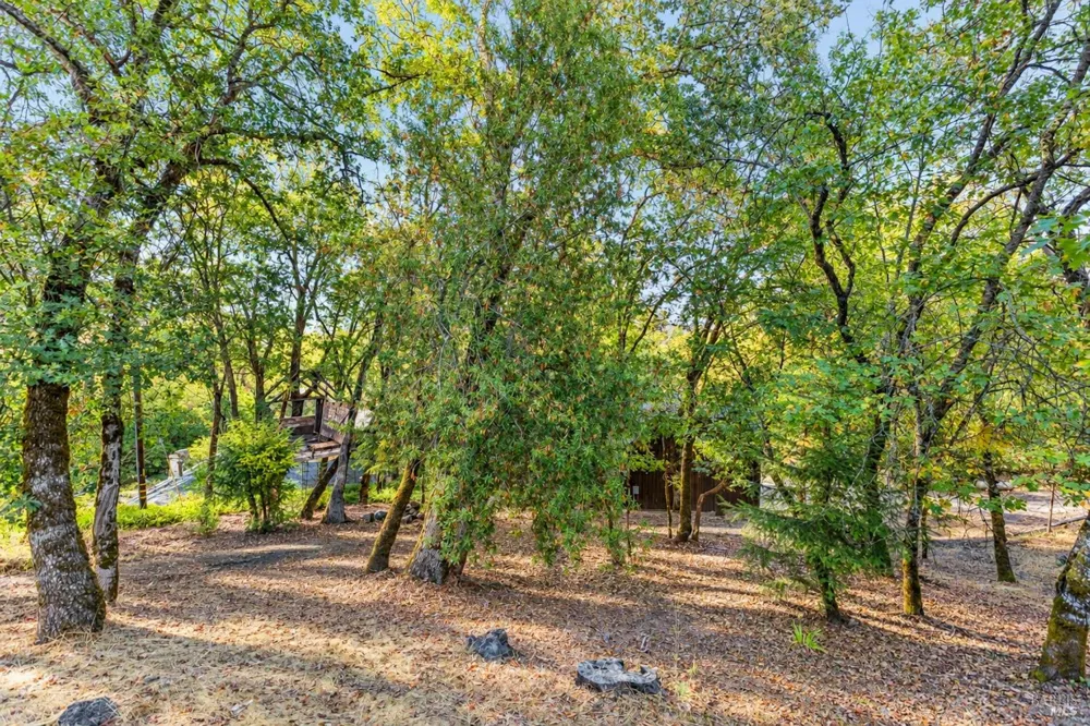 370 Laurel Street Willits, CA 95490