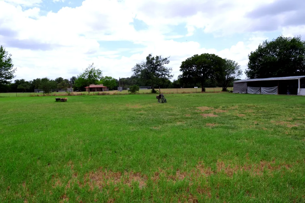 2303 Webberwood Drive Webberville, TX 78621