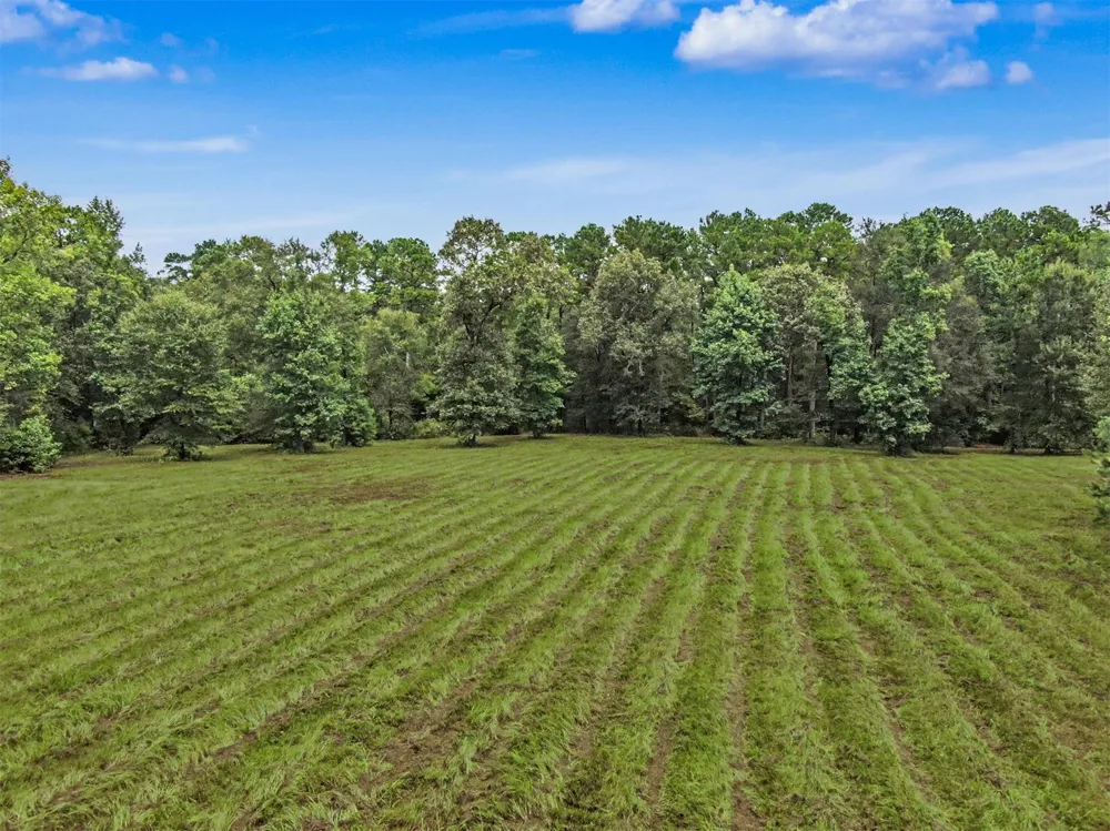 23421 Martha Williams Road Montgomery, TX 77356