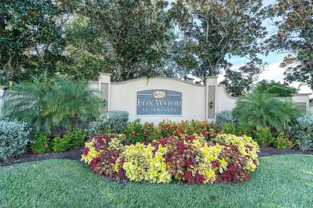 1913 TILDEN PLACE Trinity, FL 34655