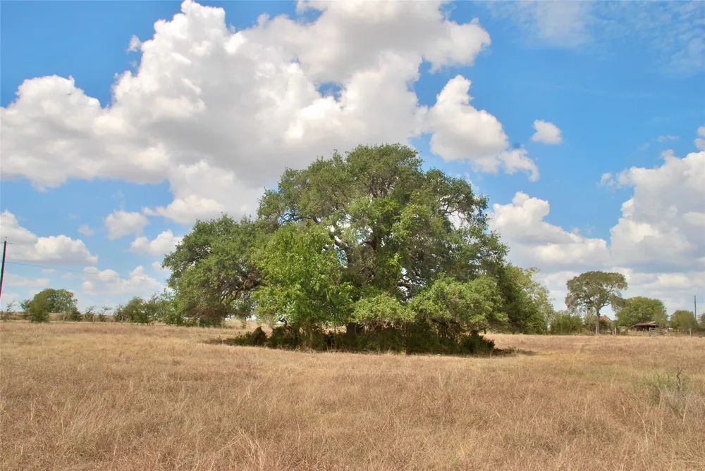 2 County Road 366 Shiner, TX 77984