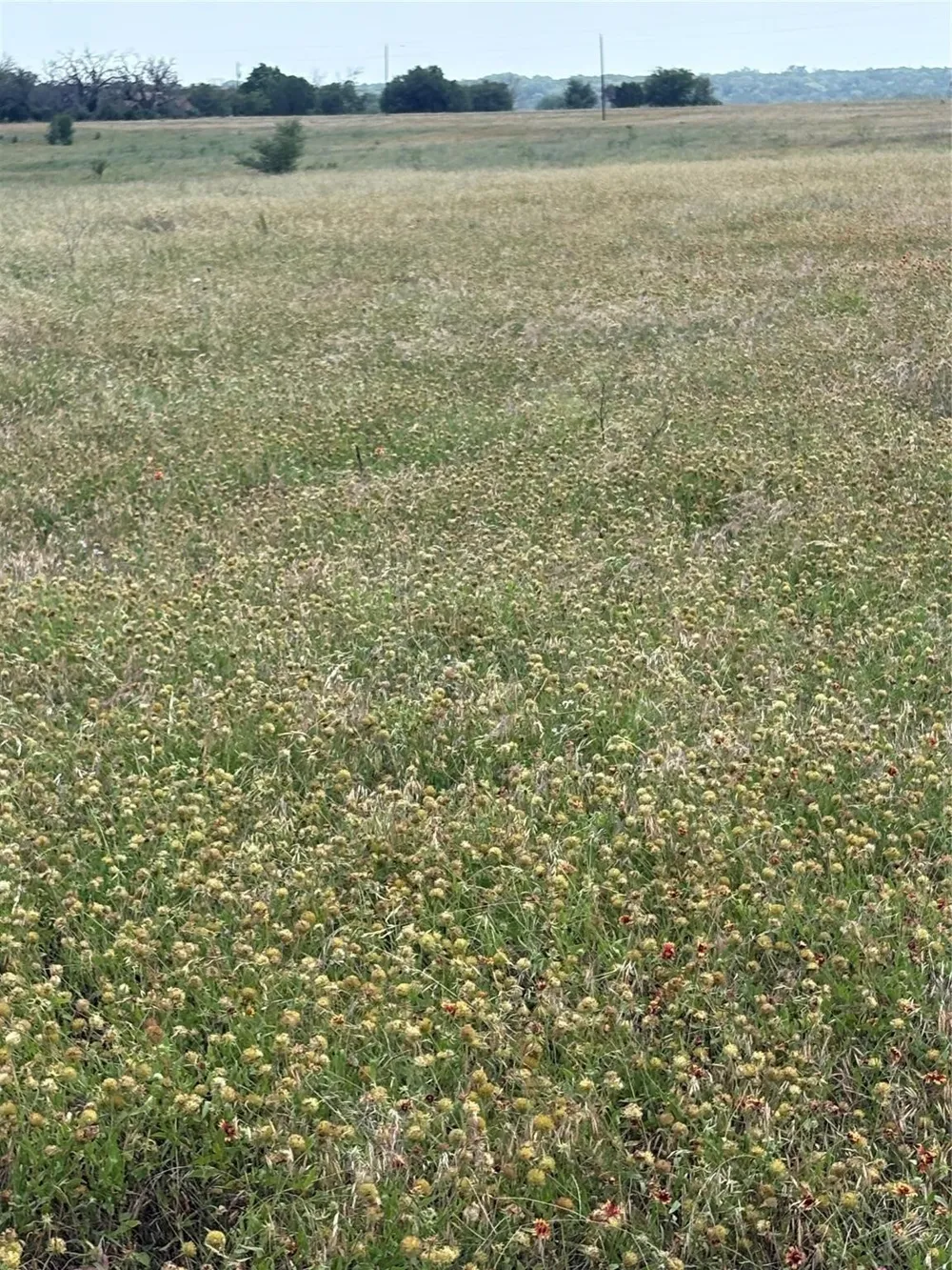 CR 3565 China Spring, TX 76633