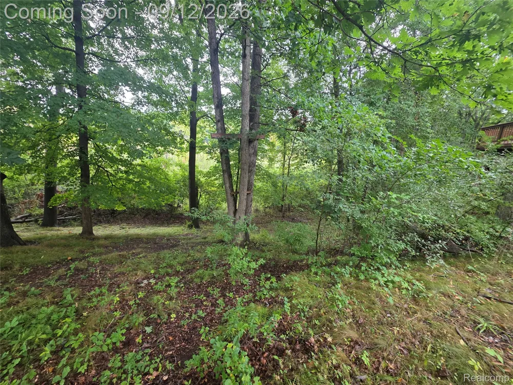 7500 Welle Road Hamburg Township, MI 48116