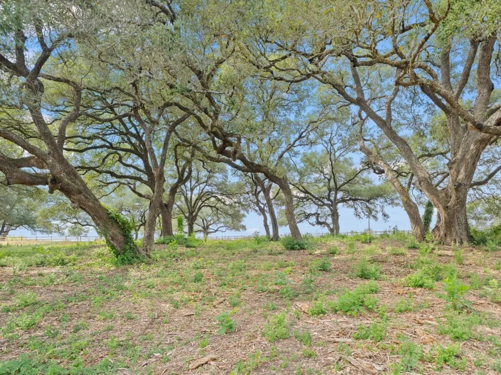 3147 FM 956 Schulenburg, TX 78956