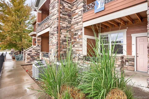 7130 Simms Street #102