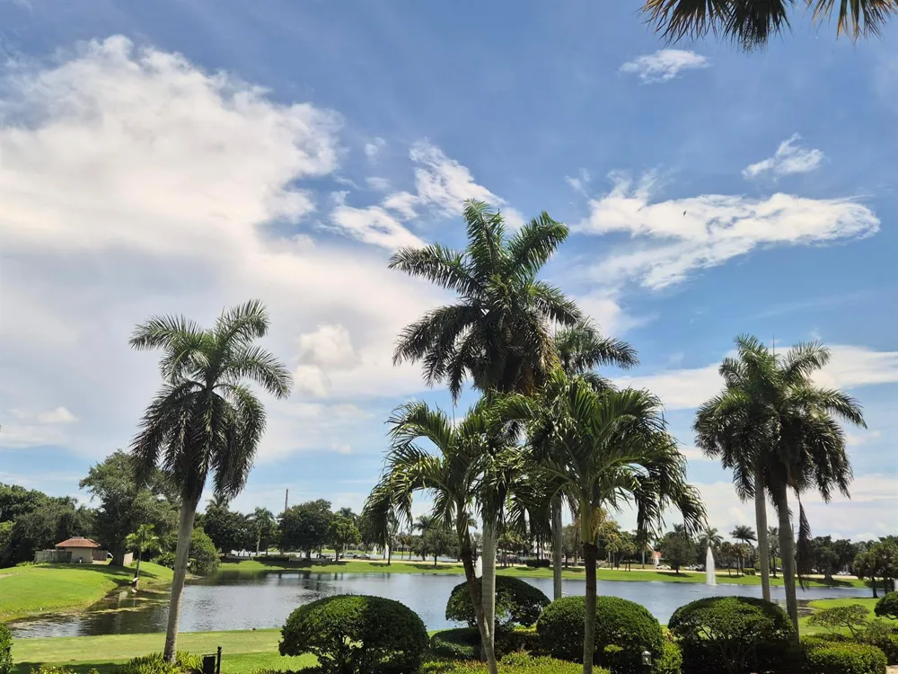 7153 PROMENADE DRIVE #202 Boca Raton, FL 33433