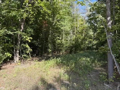 Paradise Ridge Trail