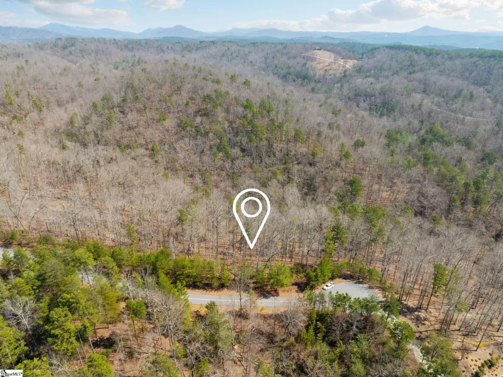 223 Logan Ridge Run Sunset, SC 29685