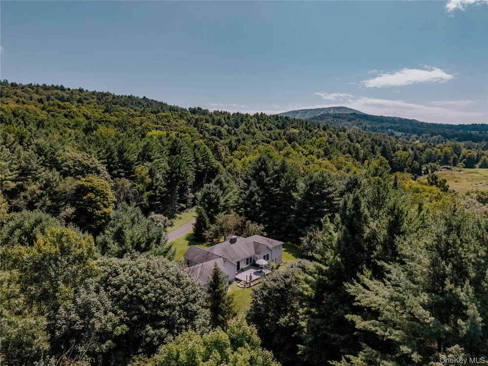 310 Pine Ridge Lane Hillsdale, NY 12529