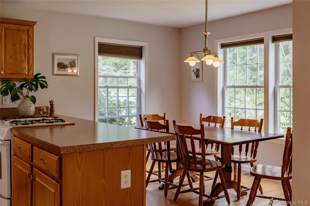 310 Pine Ridge Lane Hillsdale, NY 12529