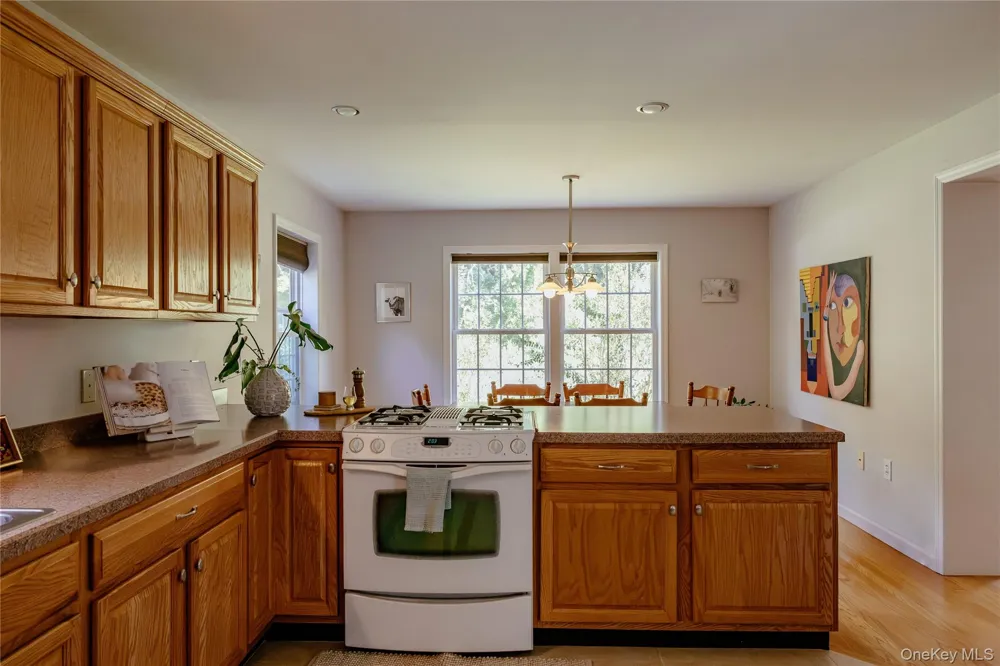 310 Pine Ridge Lane Hillsdale, NY 12529