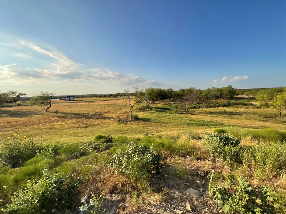 1009 Goodnight Trail Perrin, TX 76486