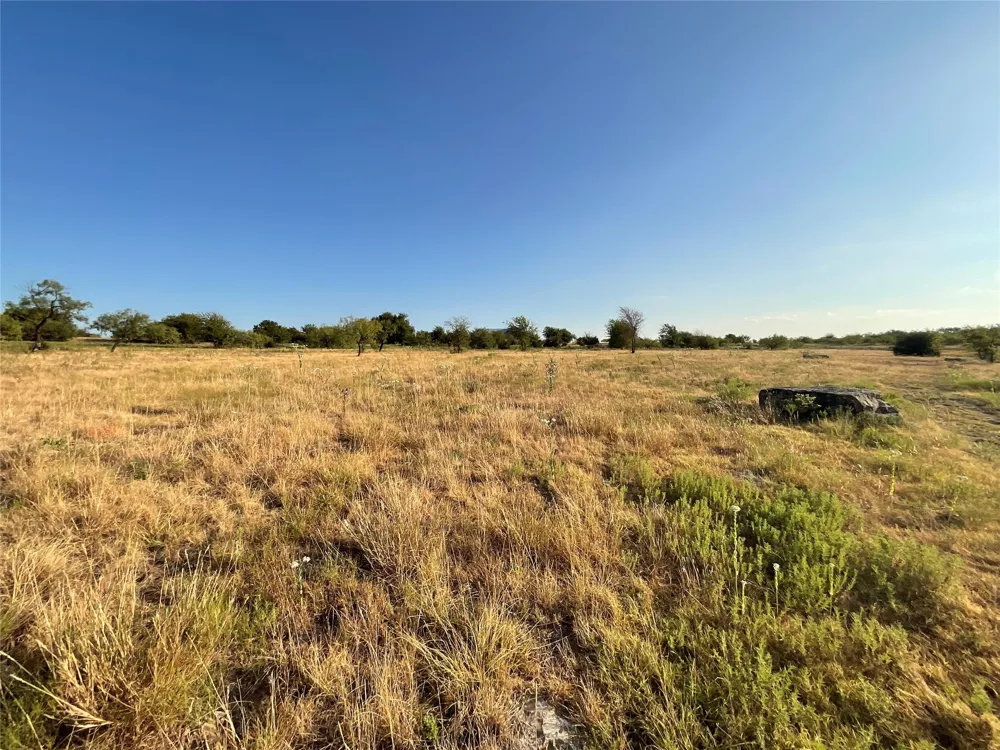 1009 Goodnight Trail Perrin, TX 76486