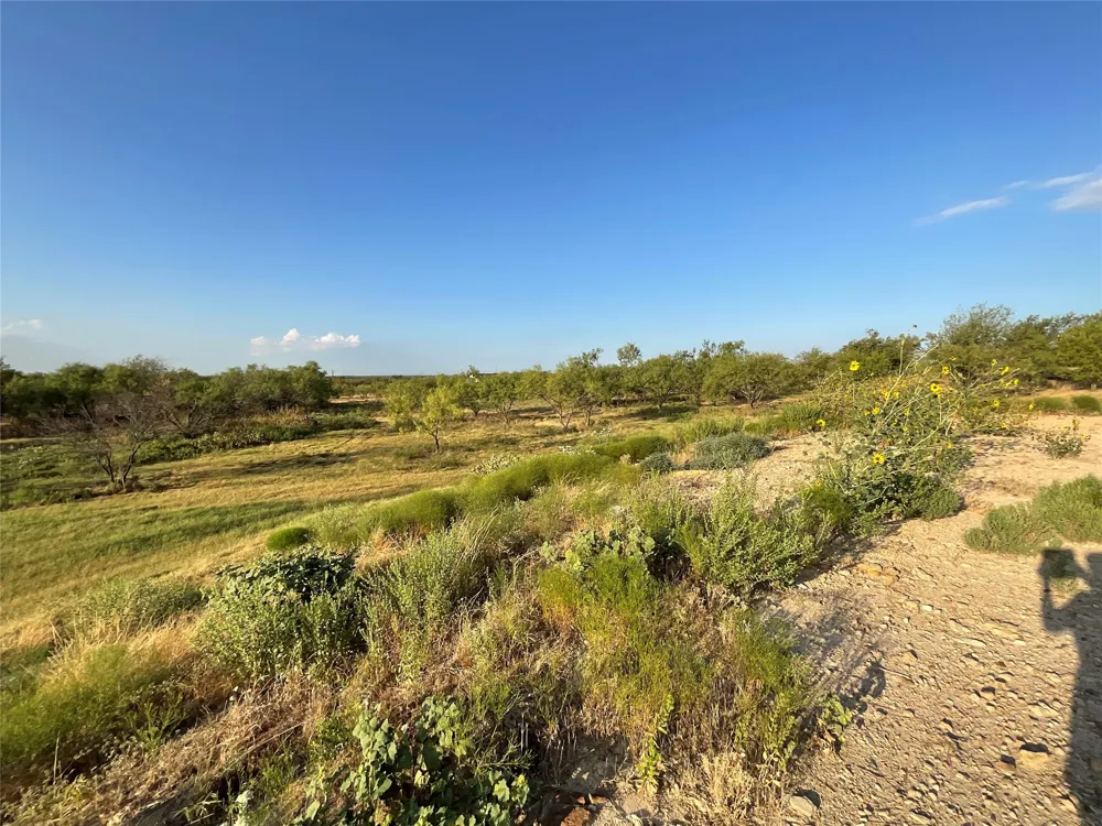 1009 Goodnight Trail Perrin, TX 76486