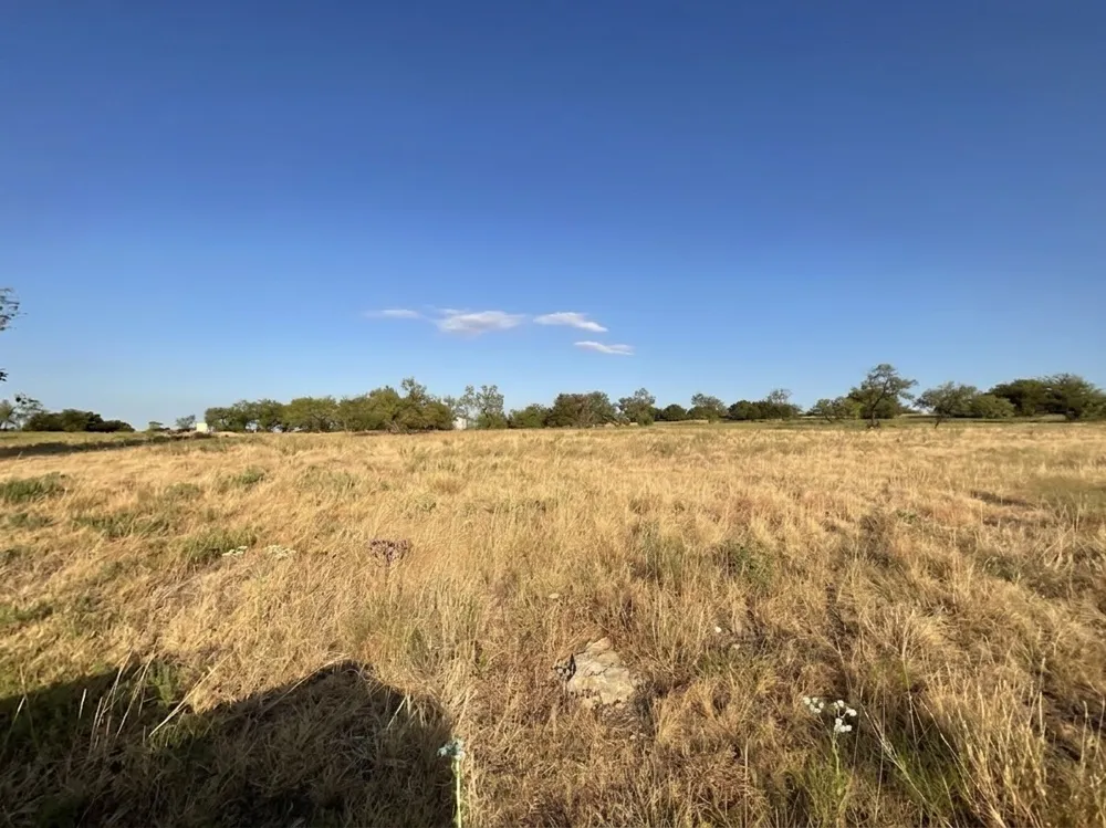 1009 Goodnight Trail Perrin, TX 76486
