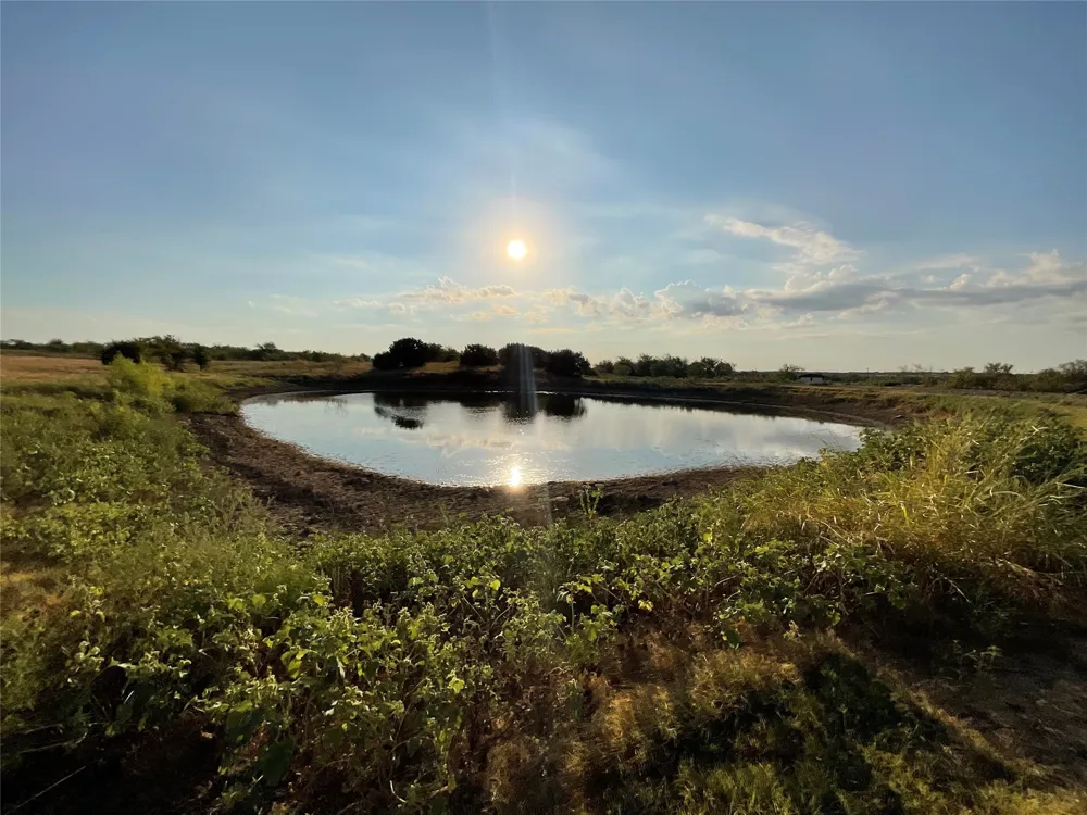 1009 Goodnight Trail Perrin, TX 76486