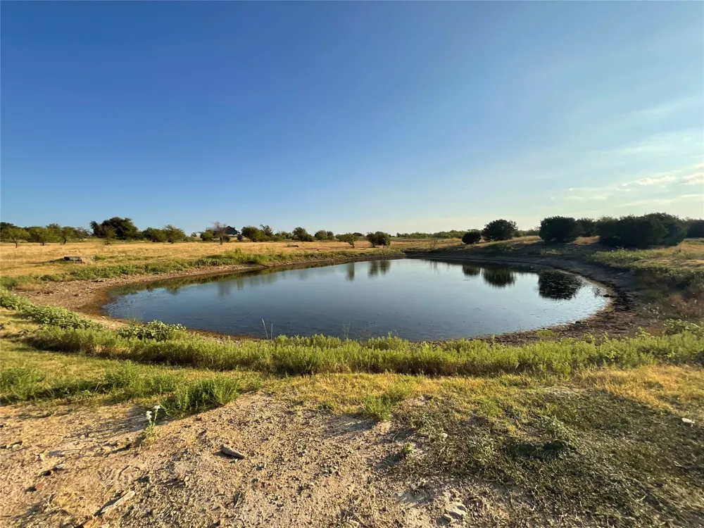 1009 Goodnight Trail Perrin, TX 76486
