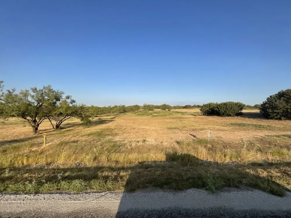 1009 Goodnight Trail Perrin, TX 76486
