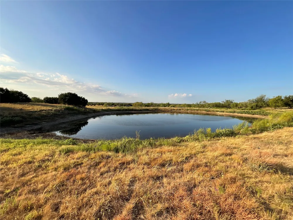 1009 Goodnight Trail Perrin, TX 76486