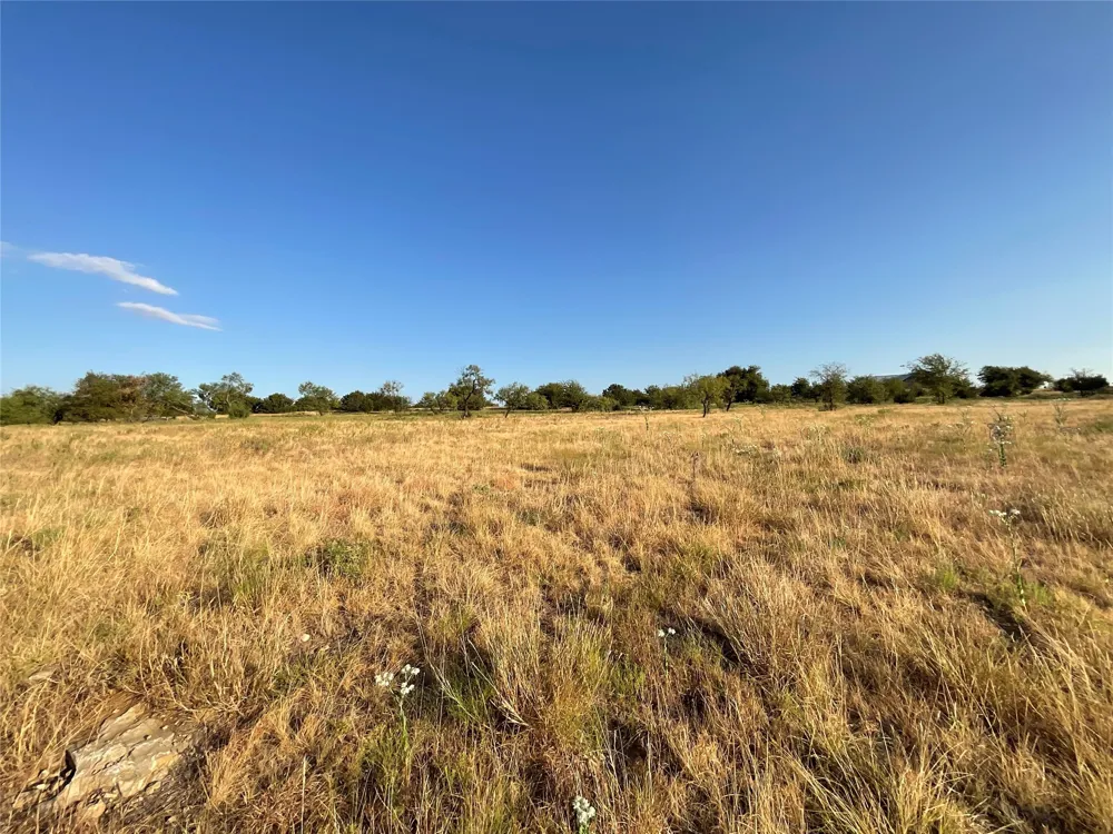 1009 Goodnight Trail Perrin, TX 76486