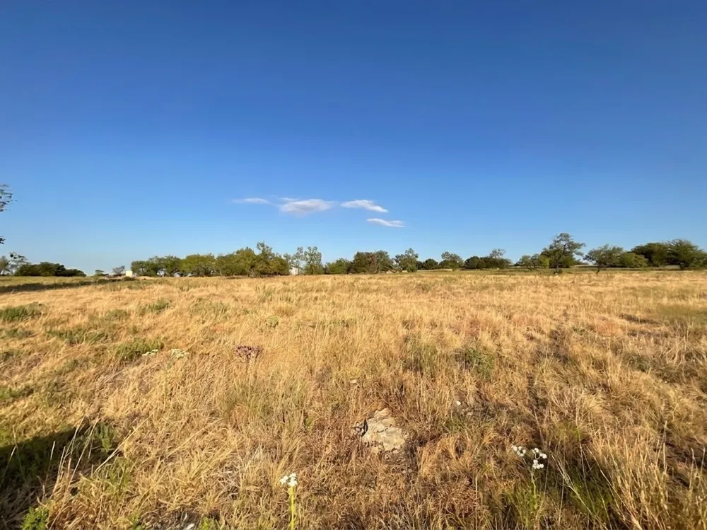 1009 Goodnight Trail Perrin, TX 76486