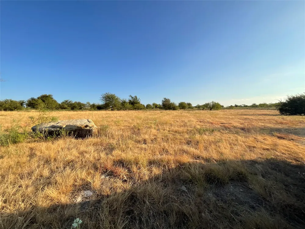1009 Goodnight Trail Perrin, TX 76486