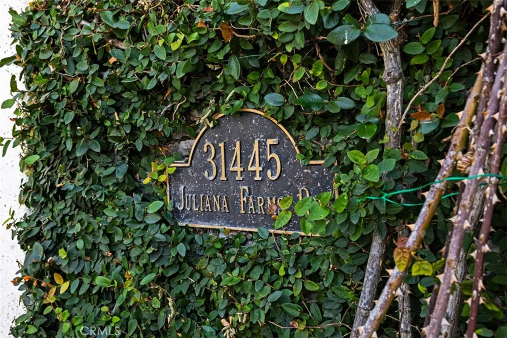 31445 Juliana Farms Road San Juan Capistrano, CA 92675