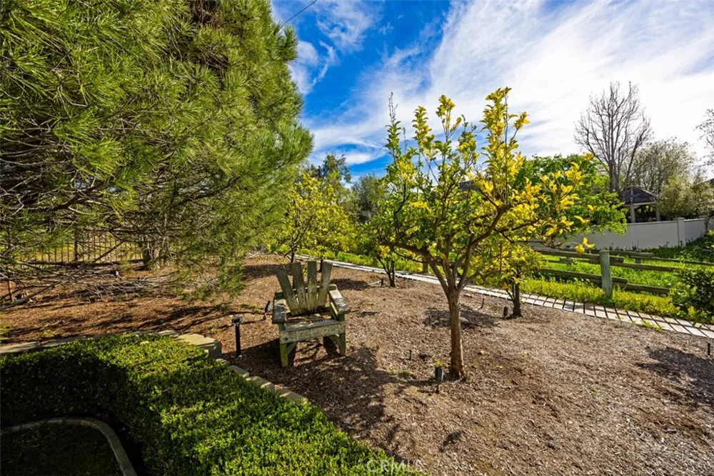 31445 Juliana Farms Road San Juan Capistrano, CA 92675