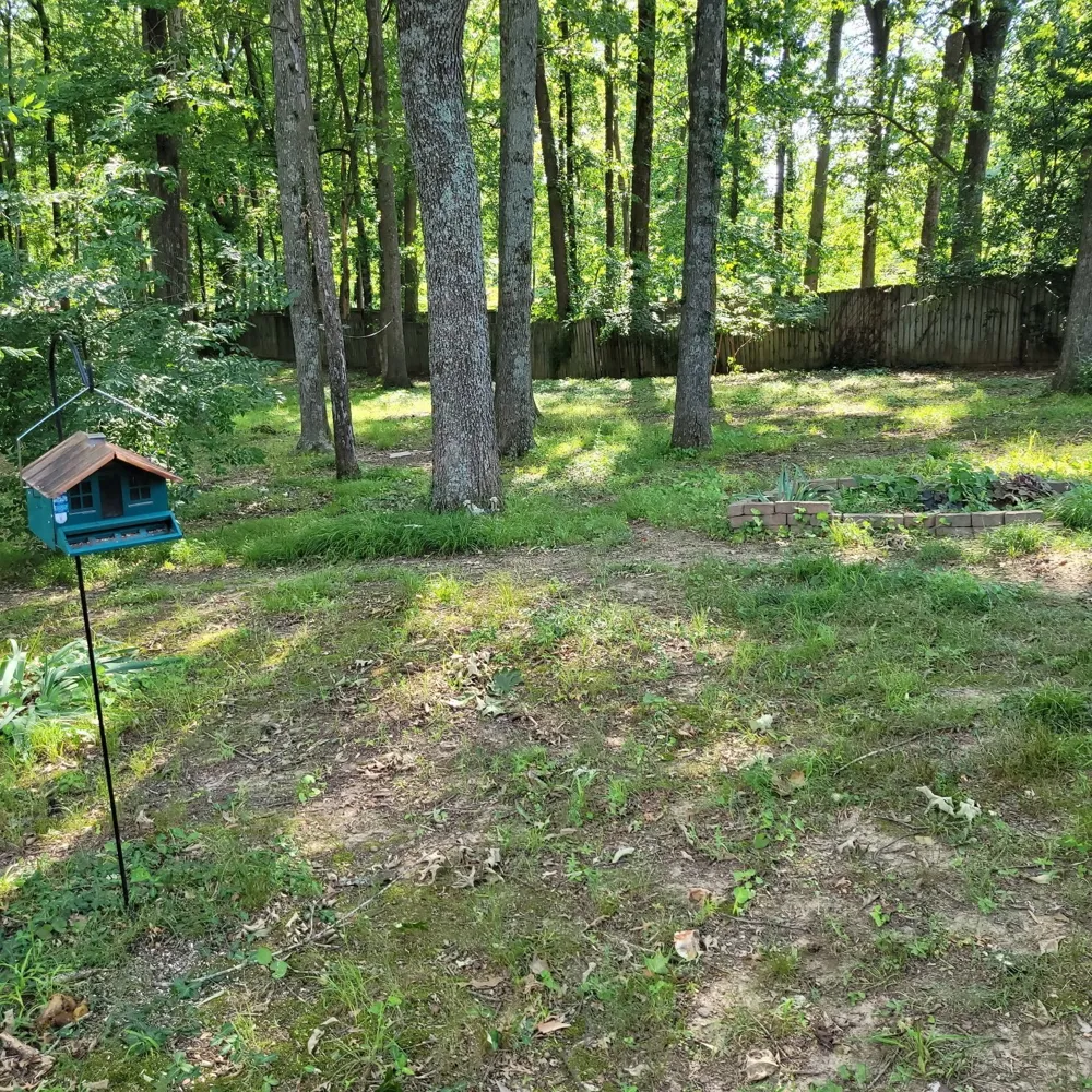 225 Longwood Ln Clarksville, TN 37043