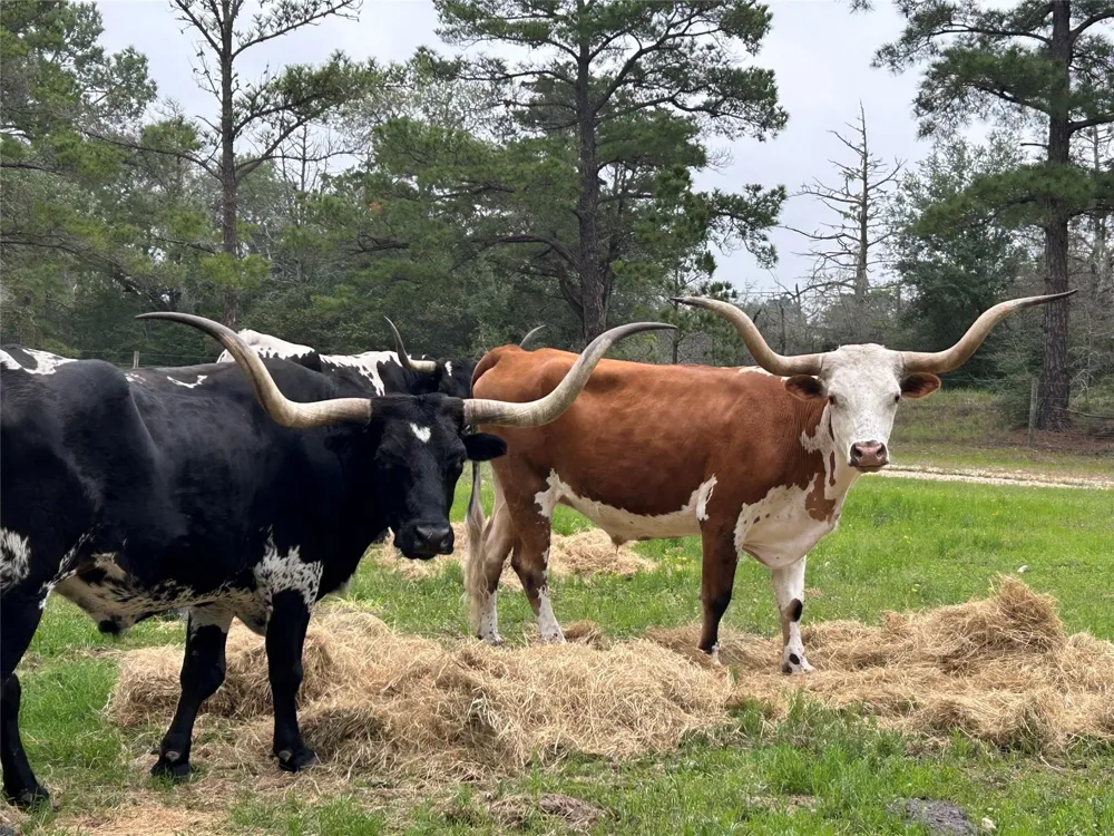5455 Us-77 La Grange, TX 78945