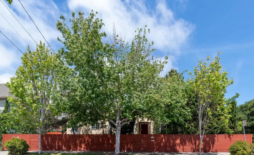 1595 Dwight Way Berkeley, CA 94703