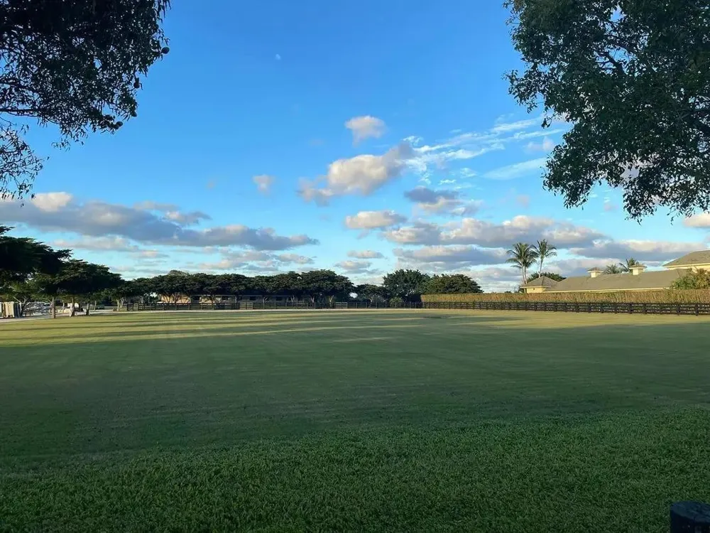 14875 Palm Beach Point Boulevard Wellington, FL 33414
