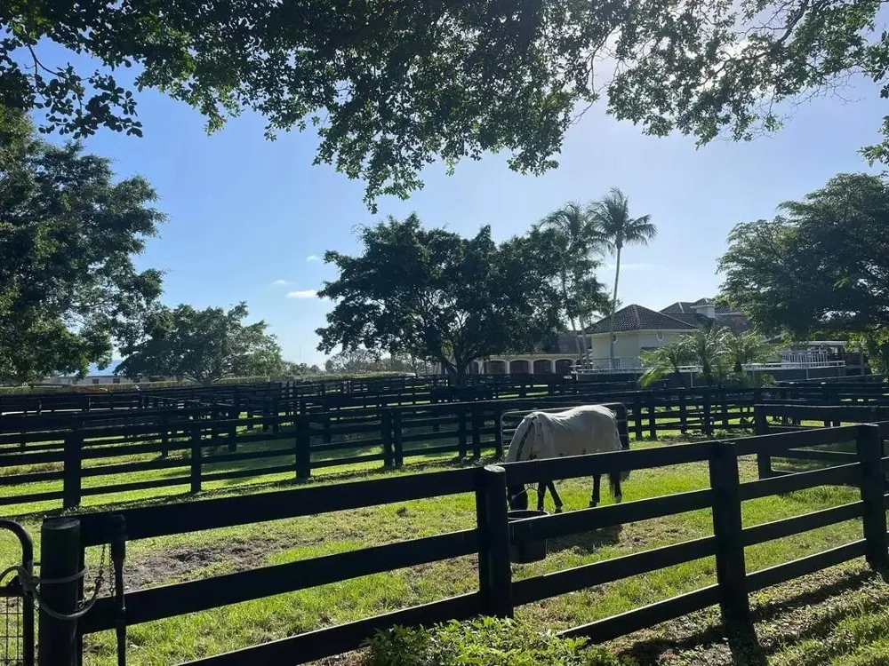 14875 Palm Beach Point Boulevard Wellington, FL 33414