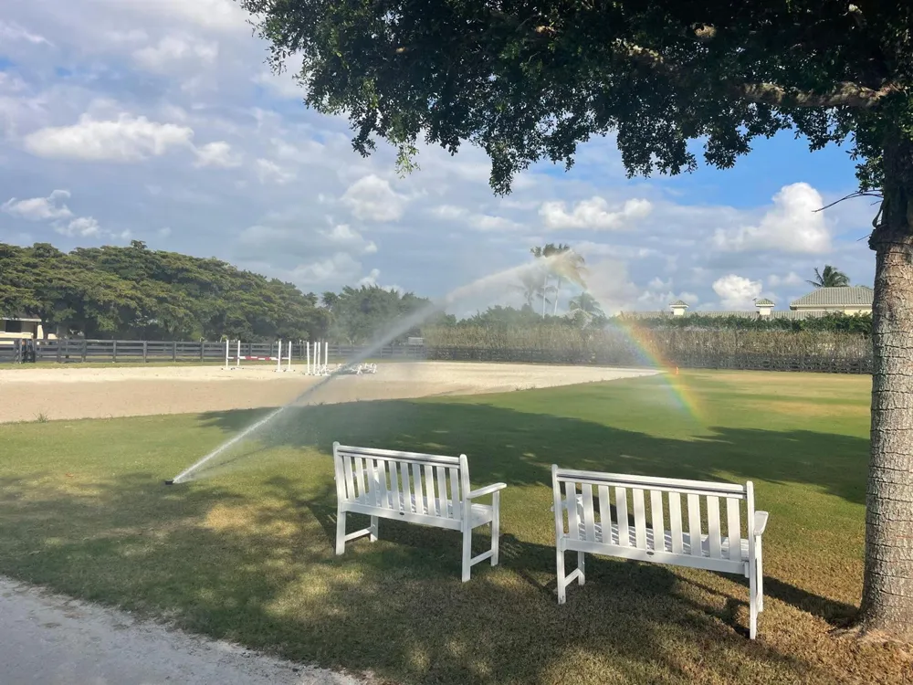 14875 Palm Beach Point Boulevard Wellington, FL 33414