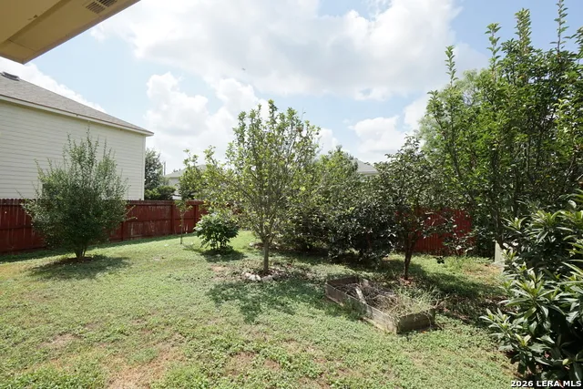 11710 Meadowood Oaks San Antonio, TX 78254