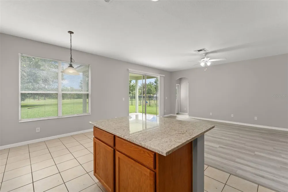 33411 TERRAGONA DRIVE Sorrento, FL 32776