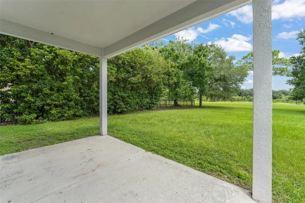 33411 TERRAGONA DRIVE Sorrento, FL 32776