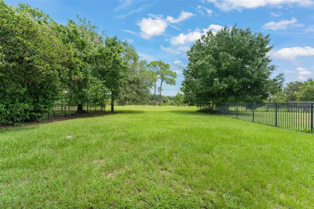 33411 TERRAGONA DRIVE Sorrento, FL 32776