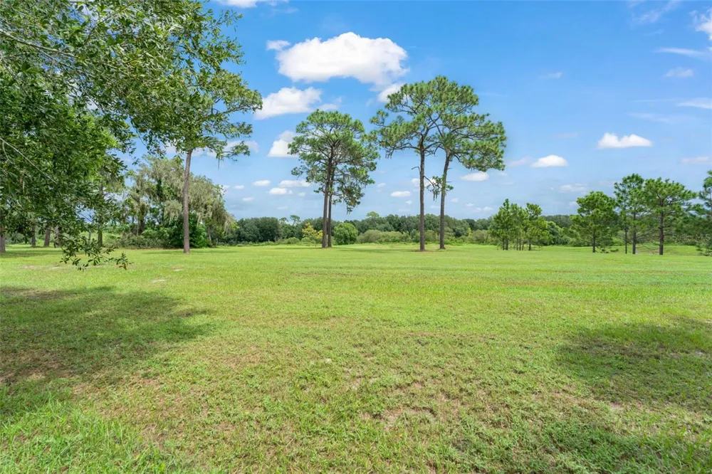 33411 TERRAGONA DRIVE Sorrento, FL 32776