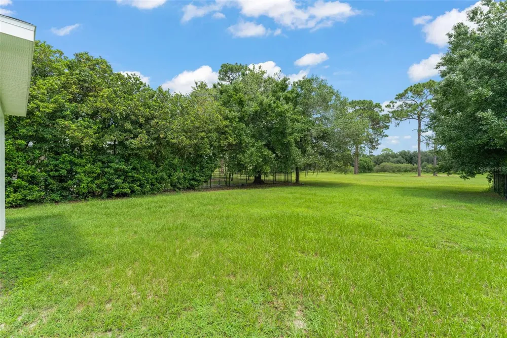 33411 TERRAGONA DRIVE Sorrento, FL 32776
